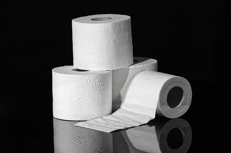 Toilet Paper Rolls